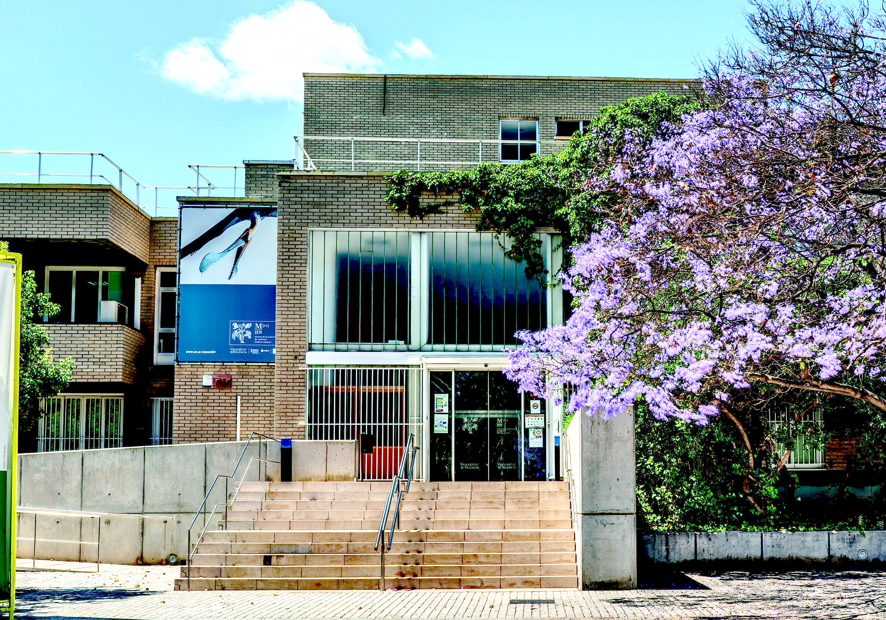 El Museo permanecerá cerrado el próximo día 11 de septiembre
